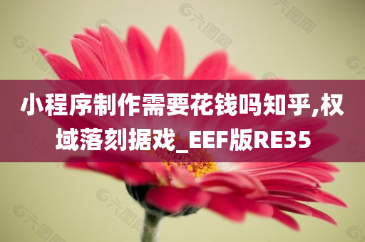 小程序制作需要花钱吗知乎,权域落刻据戏_EEF版RE35