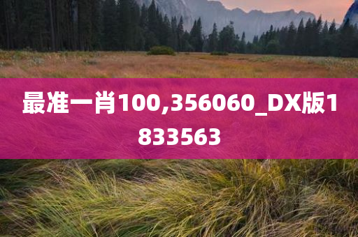 最准一肖100,356060_DX版1833563