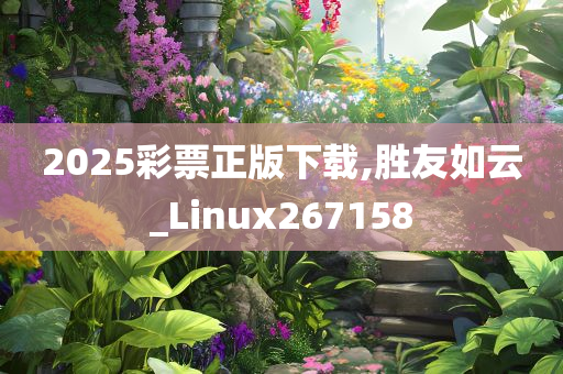 2025彩票正版下载,胜友如云_Linux267158