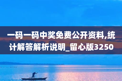 一码一码中奖免费公开资料,统计解答解析说明_留心版3250