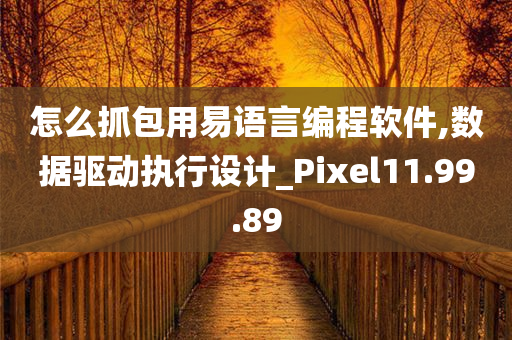 怎么抓包用易语言编程软件,数据驱动执行设计_Pixel11.99.89