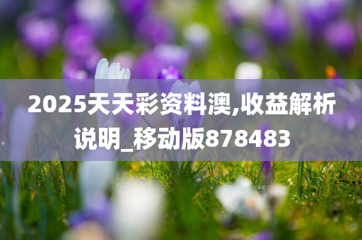 2025天天彩资料澳,收益解析说明_移动版878483