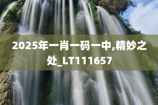 2025年一肖一码一中,精妙之处_LT111657