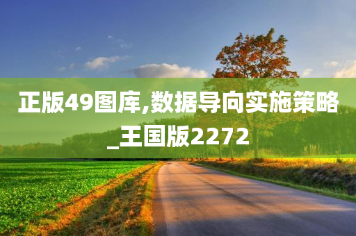 正版49图库,数据导向实施策略_王国版2272