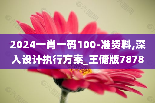 2024一肖一码100-准资料,深入设计执行方案_王储版7878