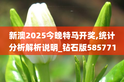 新澳2025今晚特马开奖,统计分析解析说明_钻石版585771