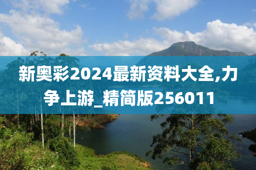 新奥彩2024最新资料大全,力争上游_精简版256011