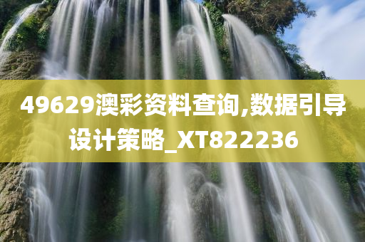 49629澳彩资料查询,数据引导设计策略_XT822236