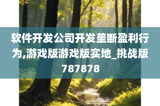 软件开发公司开发垄断盈利行为,游戏版游戏版实地_挑战版787878