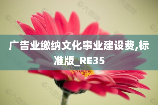 广告业缴纳文化事业建设费,标准版_RE35