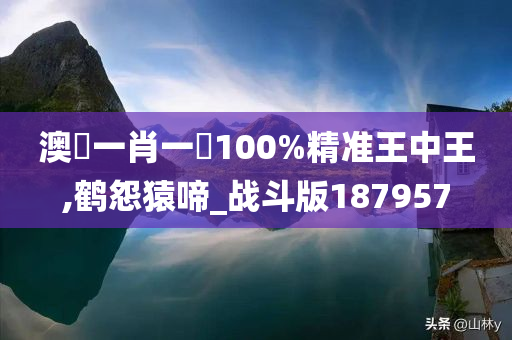 澳門一肖一碼100%精准王中王,鹤怨猿啼_战斗版187957