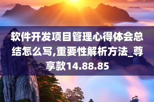 软件开发项目管理心得体会总结怎么写,重要性解析方法_尊享款14.88.85