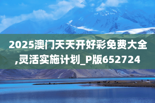 2025澳门天天开好彩免费大全,灵活实施计划_P版652724