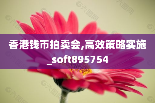 香港钱币拍卖会,高效策略实施_soft895754