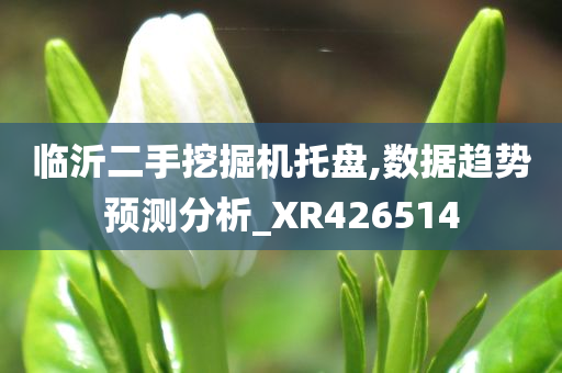 临沂二手挖掘机托盘,数据趋势预测分析_XR426514