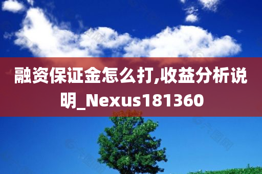 融资保证金怎么打,收益分析说明_Nexus181360