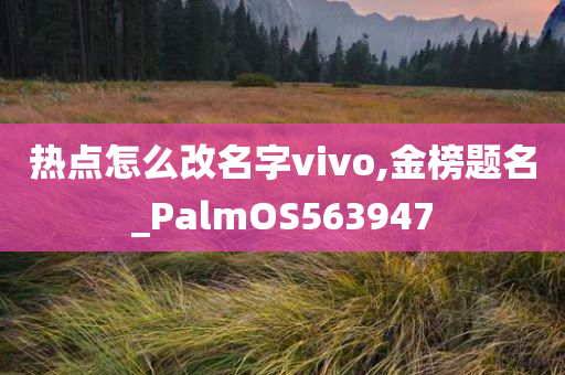 热点怎么改名字vivo,金榜题名_PalmOS563947