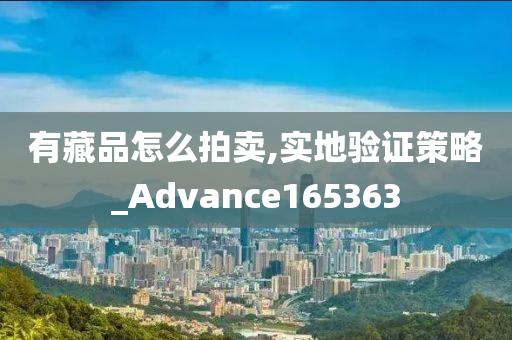 有藏品怎么拍卖,实地验证策略_Advance165363