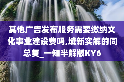 其他广告发布服务需要缴纳文化事业建设费吗,域新实解的同总复_一知半解版KY6