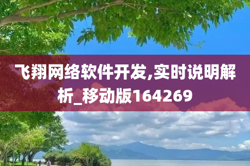 飞翔网络软件开发,实时说明解析_移动版164269