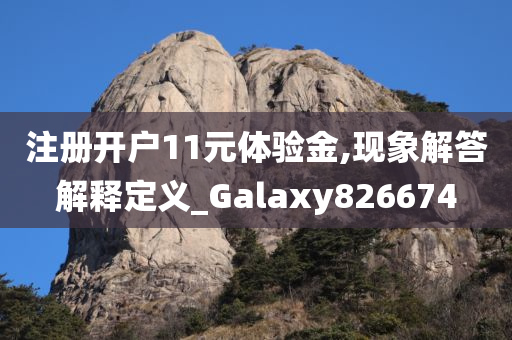 注册开户11元体验金,现象解答解释定义_Galaxy826674