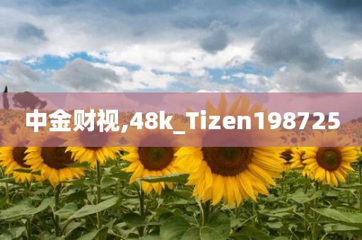 中金财视,48k_Tizen198725