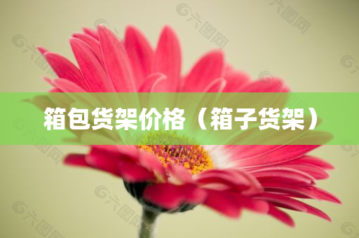 箱包货架价格（箱子货架）