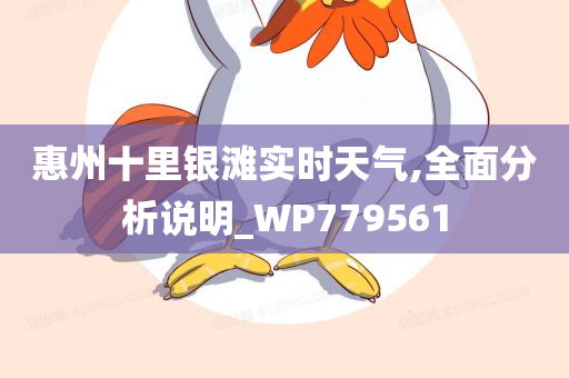 惠州十里银滩实时天气,全面分析说明_WP779561