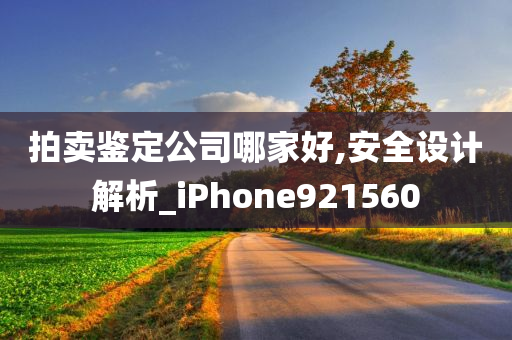 拍卖鉴定公司哪家好,安全设计解析_iPhone921560