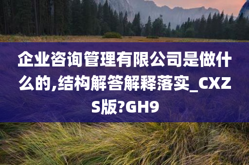 企业咨询管理有限公司是做什么的,结构解答解释落实_CXZS版?GH9