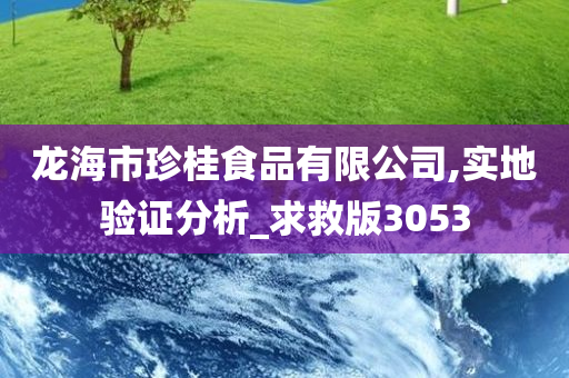 龙海市珍桂食品有限公司,实地验证分析_求救版3053