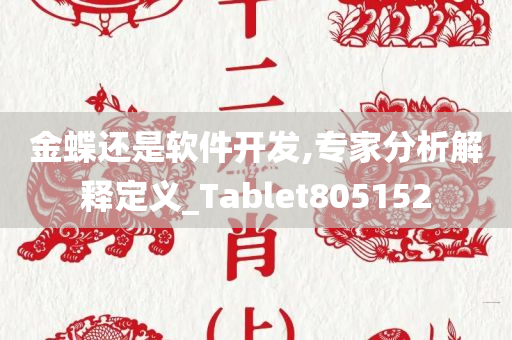 金蝶还是软件开发,专家分析解释定义_Tablet805152