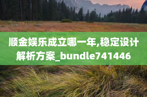 顺金娱乐成立哪一年,稳定设计解析方案_bundle741446