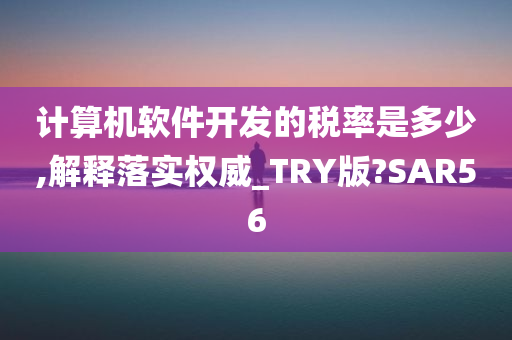 计算机软件开发的税率是多少,解释落实权威_TRY版?SAR56