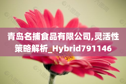 青岛名捕食品有限公司,灵活性策略解析_Hybrid791146