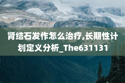 肾结石发作怎么治疗,长期性计划定义分析_The631131