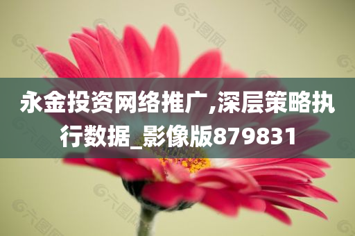 永金投资网络推广,深层策略执行数据_影像版879831