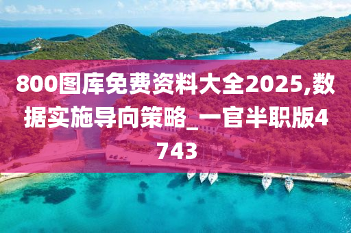 800图库免费资料大全2025,数据实施导向策略_一官半职版4743