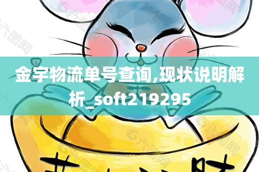 金宇物流单号查询,现状说明解析_soft219295