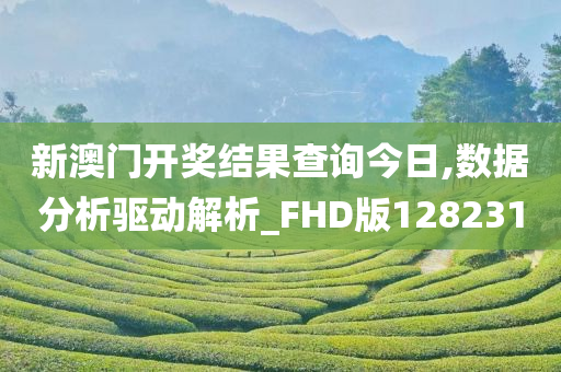 新澳门开奖结果查询今日,数据分析驱动解析_FHD版128231