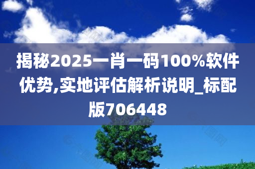 揭秘2025一肖一码100%软件优势,实地评估解析说明_标配版706448