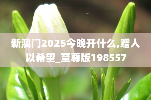 新澳门2025今晚开什么,赠人以希望_至尊版198557