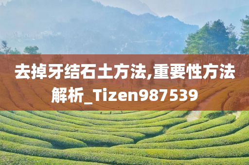 去掉牙结石土方法,重要性方法解析_Tizen987539