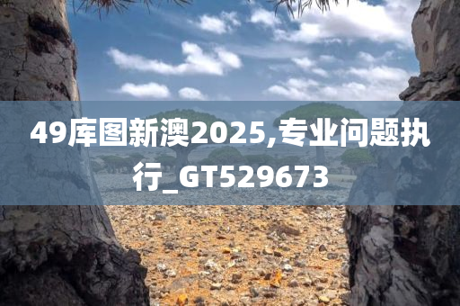 49库图新澳2025,专业问题执行_GT529673