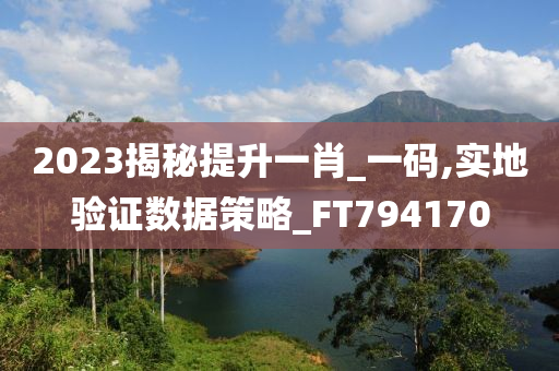 2023揭秘提升一肖_一码,实地验证数据策略_FT794170