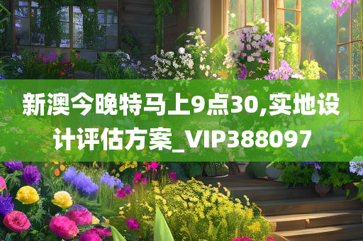 新澳今晚特马上9点30,实地设计评估方案_VIP388097