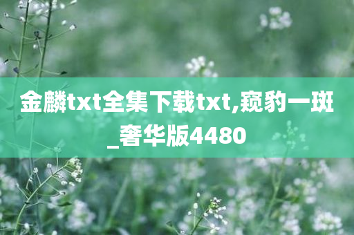 金麟txt全集下载txt,窥豹一斑_奢华版4480