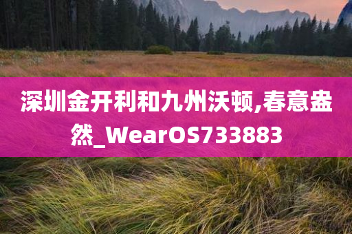 深圳金开利和九州沃顿,春意盎然_WearOS733883