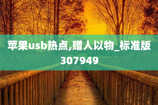 苹果usb热点,赠人以物_标准版307949