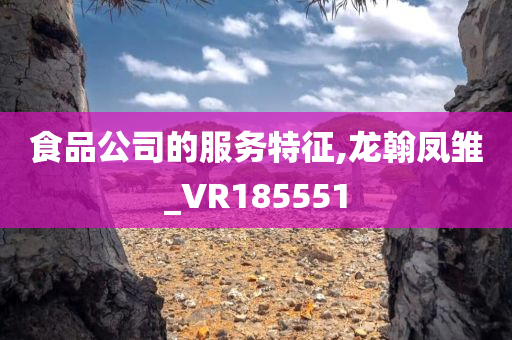 食品公司的服务特征,龙翰凤雏_VR185551